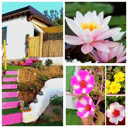 La Conchiglietta Blu Dom wakacyjny Cardedu