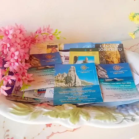 La Conchiglietta Blu Cardedu