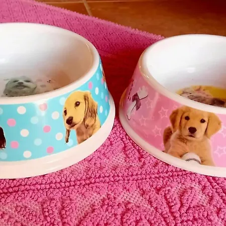 La Conchiglietta Blu